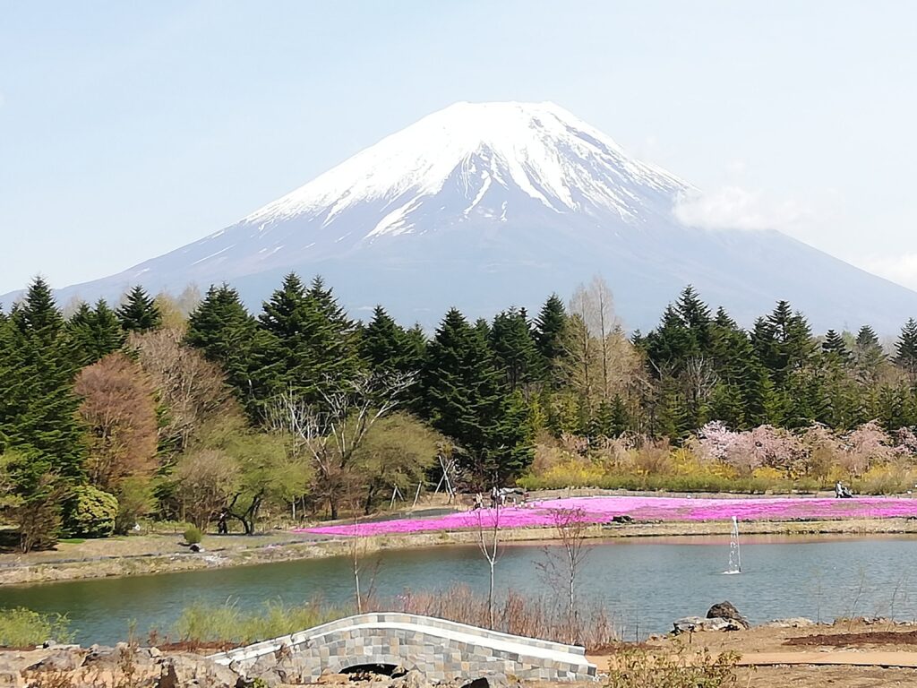 富士山と竜神池と芝桜