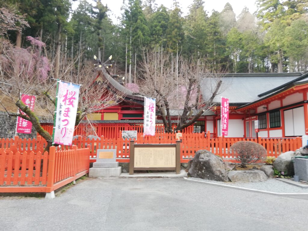 山梨 金櫻神社の桜祭り