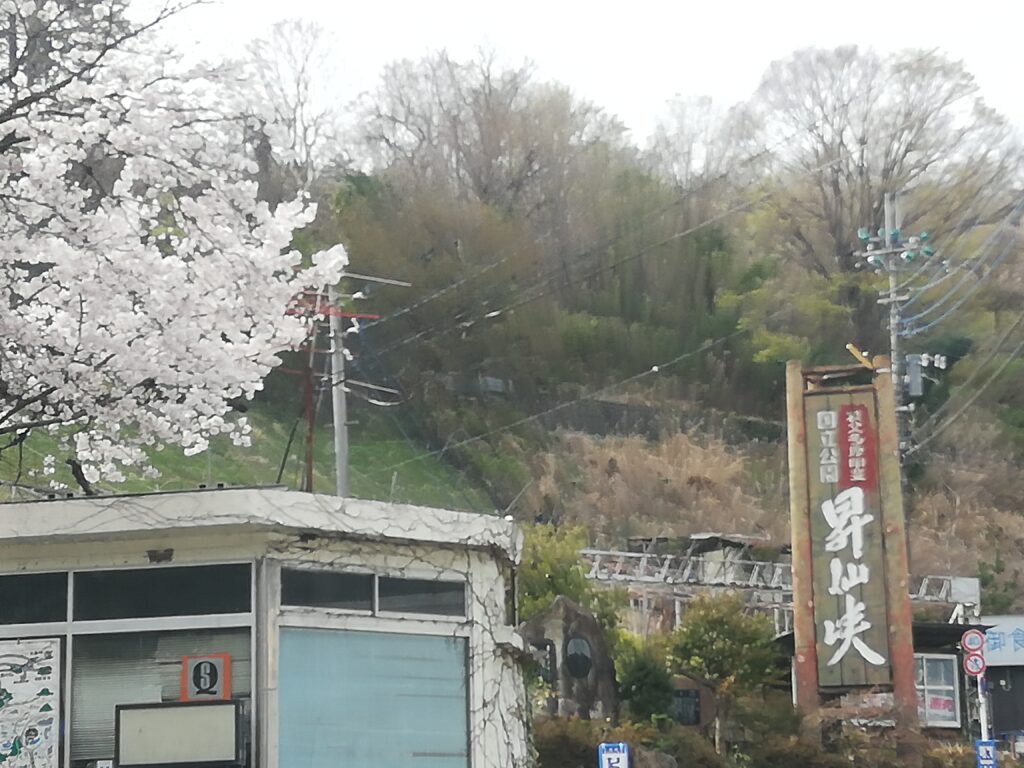 昇仙峡の看板と桜
